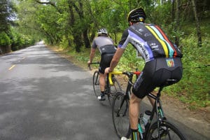 12-Week Century Training Plan